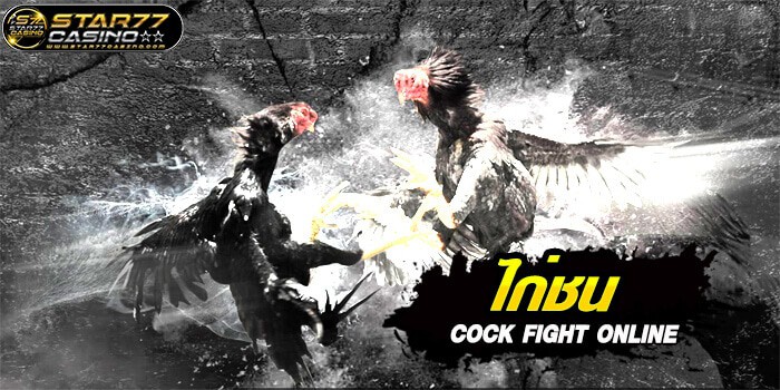 ไก่ชนออนไลน์ (Cock Fight Betting) Cock Fight Betting พนันไก่ชน ออนไลน์