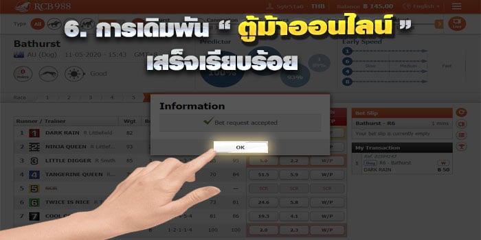 ตู้ม้าออนไลน์ รายละเอียดตู้ม้า .6 รายละเอียดตู้ม้า .6